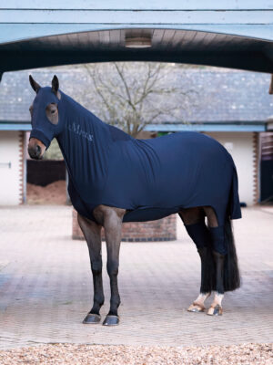 LeMieux Stretch Show Rug