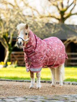 LeMieux Arika Star Turnout Rug 200g