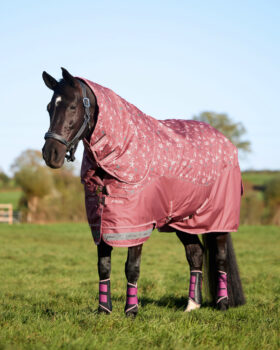 LeMieux Arika Star 0g Turnout Rug