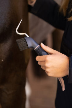 LeMieux Heavy Duty Hoof Pick Navy