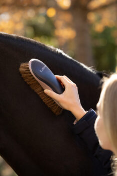 LeMieux Dandy Brush Navy