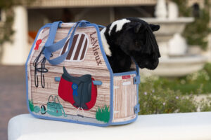 LeMieux Toy Pony Carry Bag Stable Multi