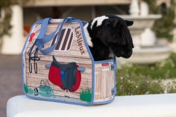 LeMieux Toy Pony Carry Bag Stable Multi