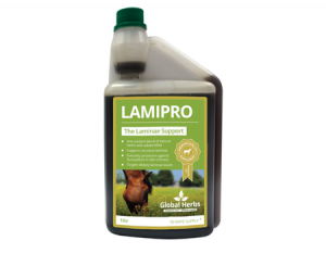 Global Herbs LamiPro 1L