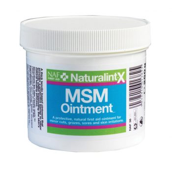 NAF NaturalintX MSM Ointment 250g