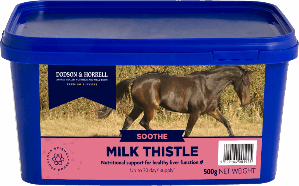 D&H Milk Thistle 500g