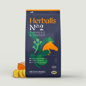 Hilton Herbs Herballs No2 Turmeric & Ginger 2kg