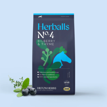 Hilton Herbs Herballs No4 Bilberry & Thyme 2kg
