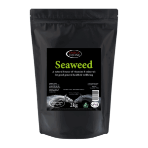 Omega Equine Seaweed 2kg