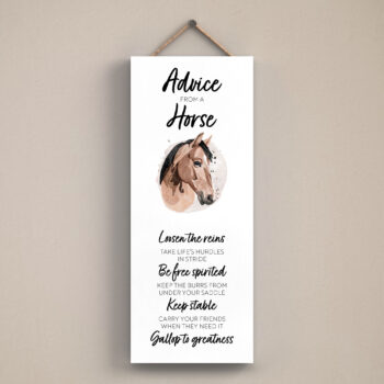 Advice From A Horse