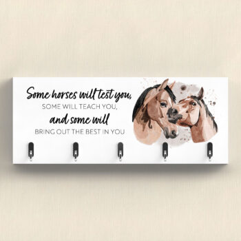 Some Horses Inspirational Hook Rack