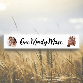 One Moody Mare Momento Block