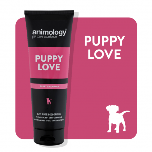 Animology Puppy Love Shampoo