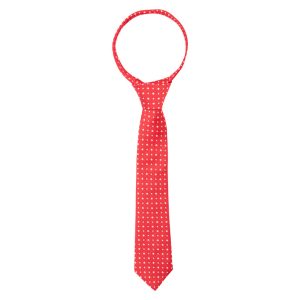 Supreme Products Show Tie