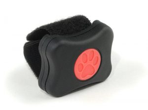 Pit Pat Dog Activity Monitor