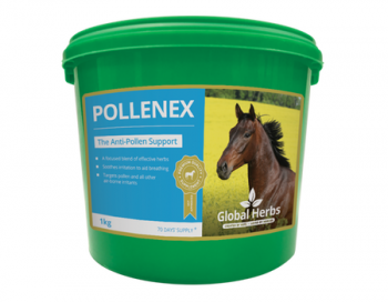 Global Herbs Pollenex