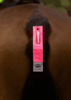 Woofwear LED Hi Vis Tail Light