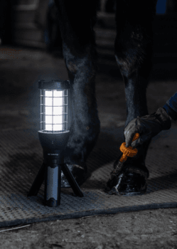 Woofwear Rechargeable Tripod Lantern