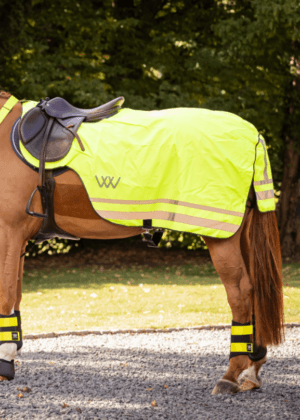 WoofWear Hi Vis Exercise Sheet
