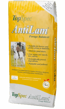TopSpec Anti-lam 15kg