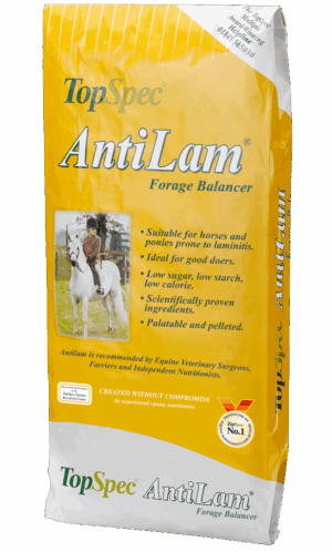 TopSpec AntiLam