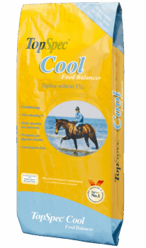 TopSpec Cool Balancer 15kg