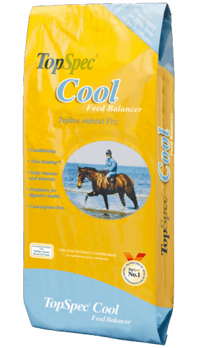 TopSpec Cool Balancer