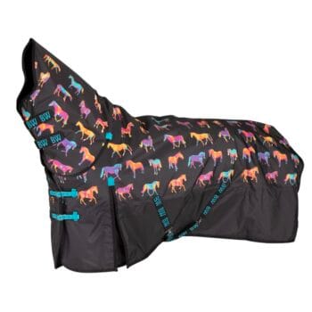 Bridleway Ontario Medium Combo Rug