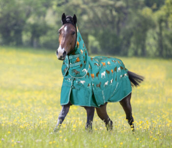 Bridleway Ontario Medium Combo Turnout Rug