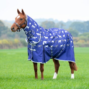 Bridleway Ontario Lite Combo Turnout Rug