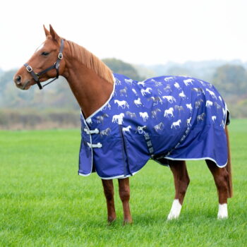 Bridleway Ontario Lightweight Turnout Rug