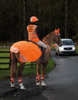 Bridleway Visibility Safety Vest