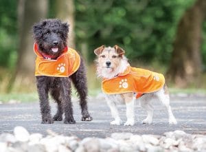Bridleway Visibility Dog Coat