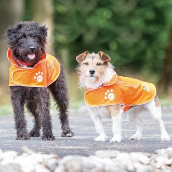 Bridleway Visibility Dog Coat