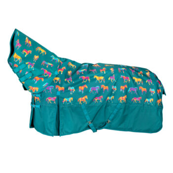 Bridleway Ontario 100g Combo Turnout Rug