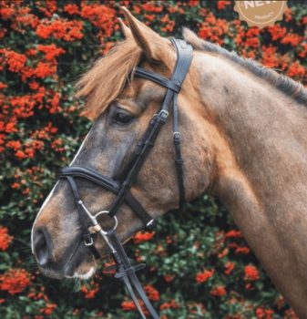 Mackey Legend Athena Bridle