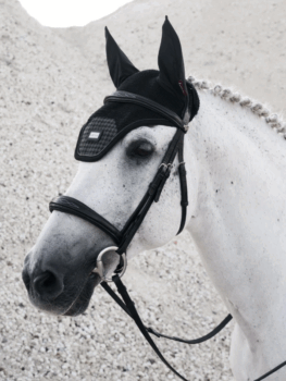 LeMieux Aspen Fly Hood