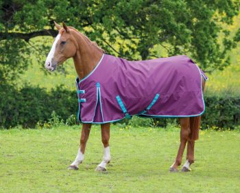 Bridleway Ontario Medium Turnout