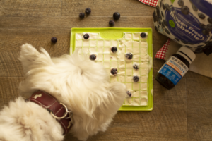 Lickmats