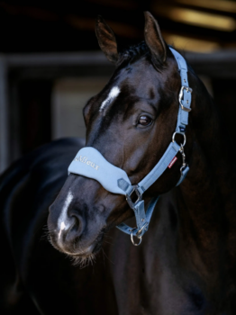 LeMieux Breakaway Vogue Headcollar