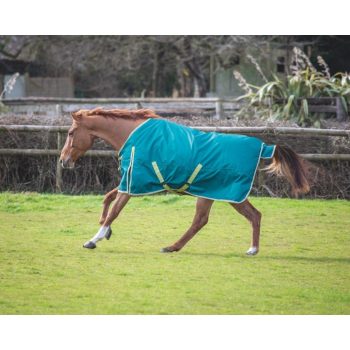 Bridleway Ontario 100g Turnout Rug