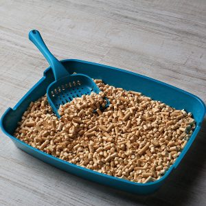 Cat Litter
