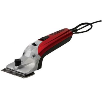 Liveryman Black Beauty Mains Clipper