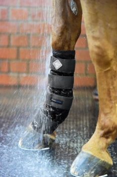 LeMieux ProCool Cold Water Boot