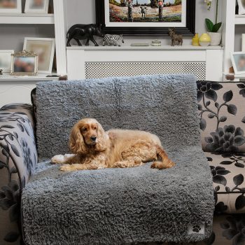Pet Rebellion Comfy Cover