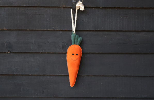 Hy Equestrian Crunchie The Carrot