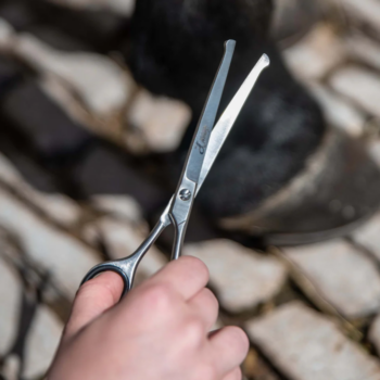 Smart Grooming 6.5″/16.5cm Curved Safety Scissor