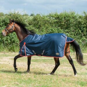 Gallop Trojan Duraproof 200g Turnout