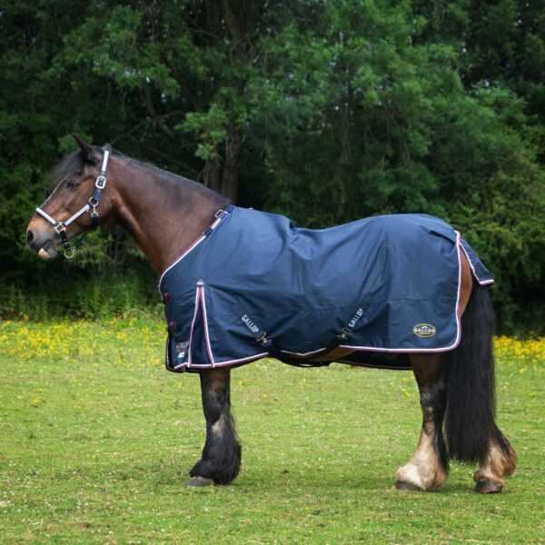 Gallop TROJAN 50g Duraproof Turnout Rug