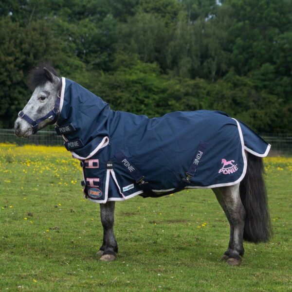 Gallop PONIE 50g Duraproof Combo